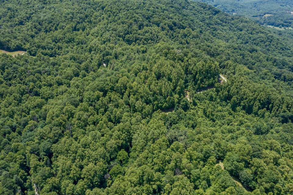 Photo #16: Lot 1 Ridgetop Lane