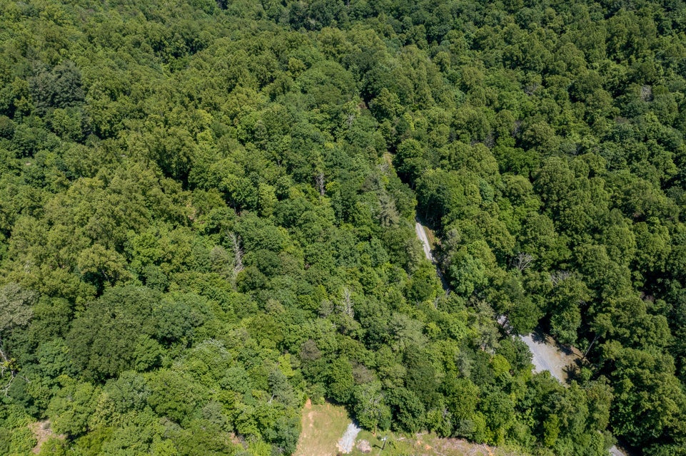 Photo #25: Lot 1 Ridgetop Lane
