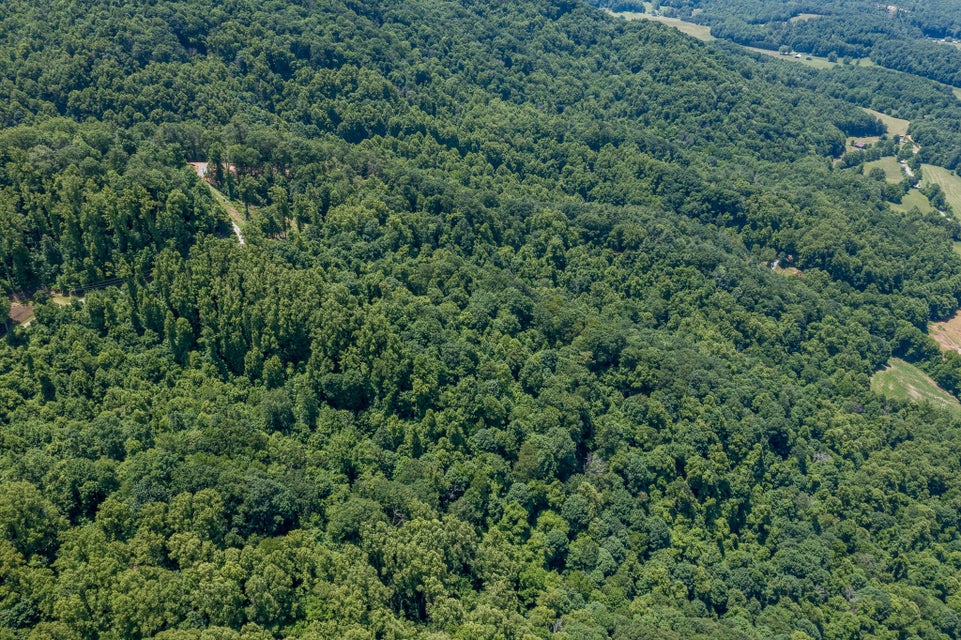 Photo #5: Lot 4 Ridgetop Lane