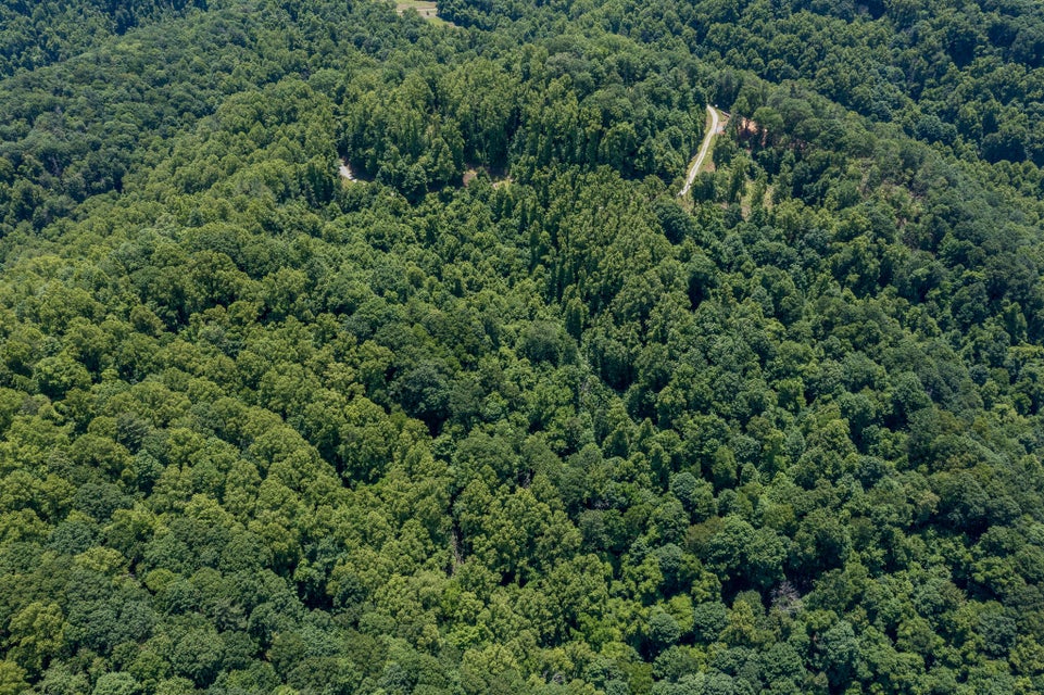 Photo #15: Lot 4 Ridgetop Lane