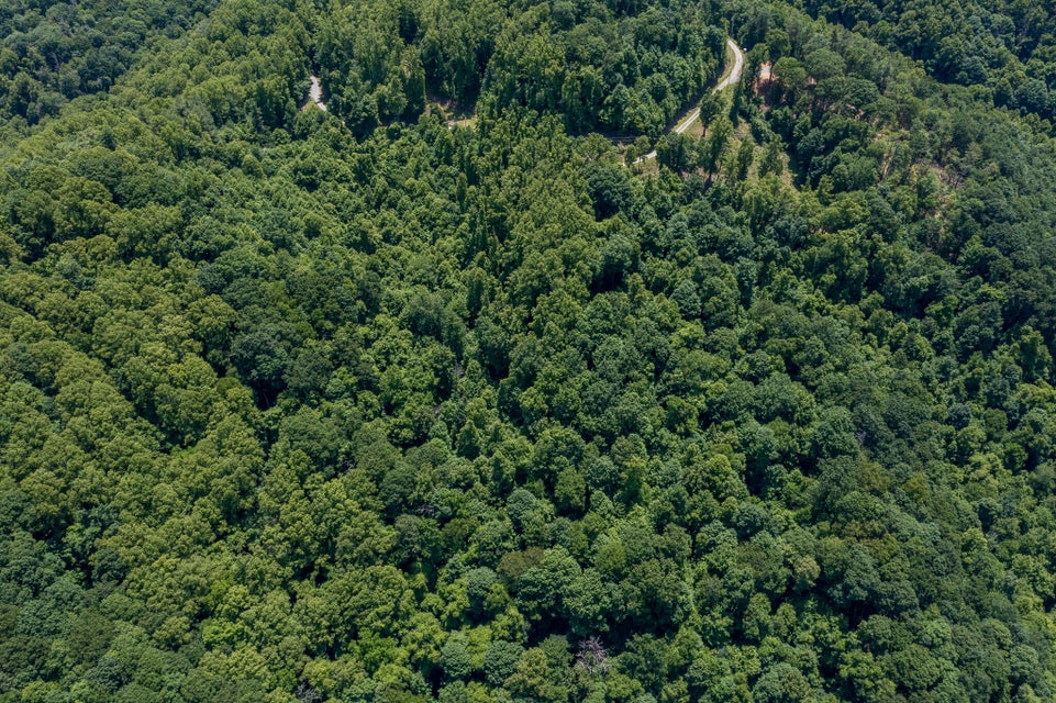 Photo #16: Lot 4 Ridgetop Lane