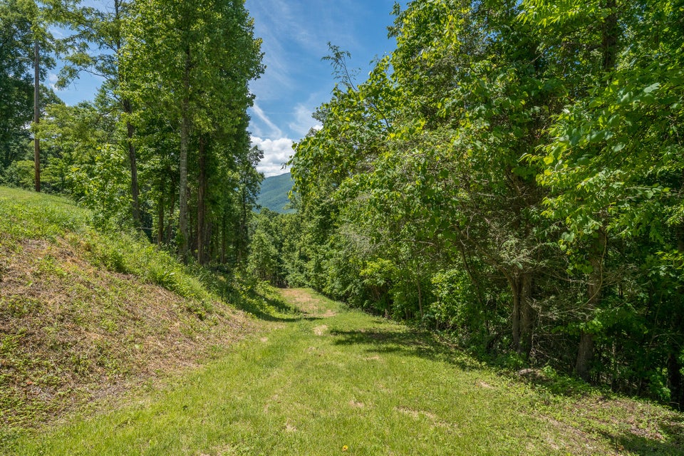 Photo #31: Lot 4 Ridgetop Lane