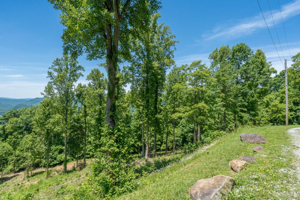 Photo #33: Lot 4 Ridgetop Lane
