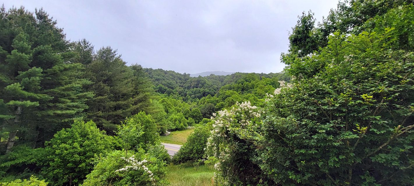 Photo #4: 3979 Forge Creek Road