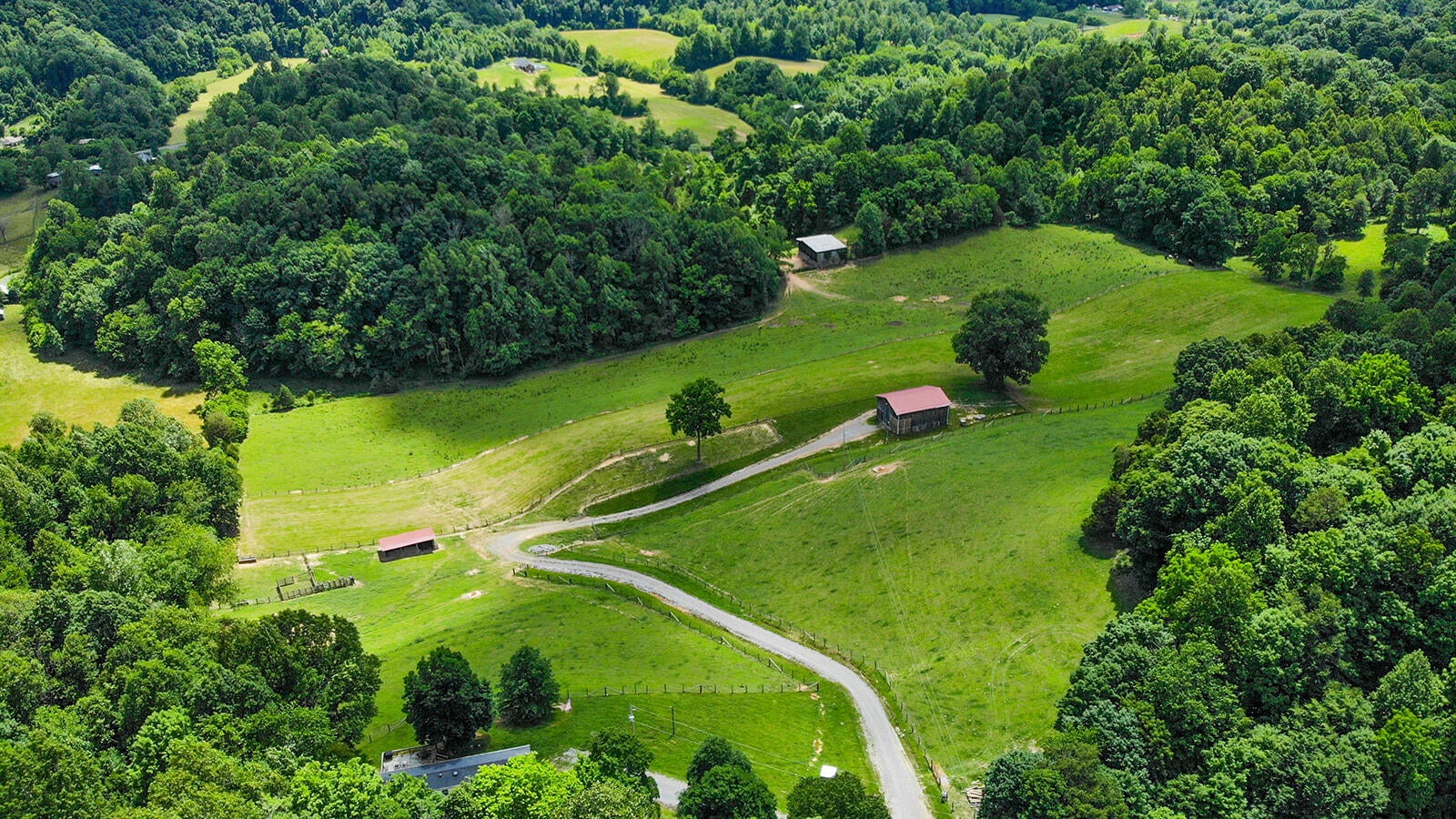 Photo #56: 635 Ivy Valley Road