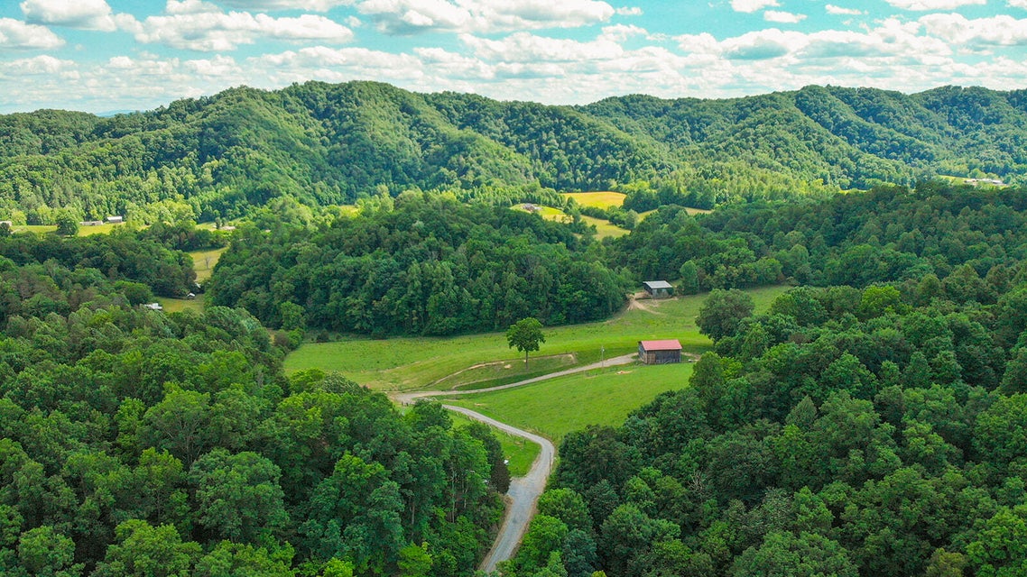 Photo #68: 635 Ivy Valley Road