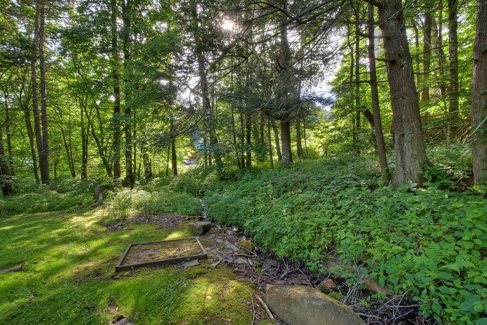 Photo #50: 225 Cove Creek Road