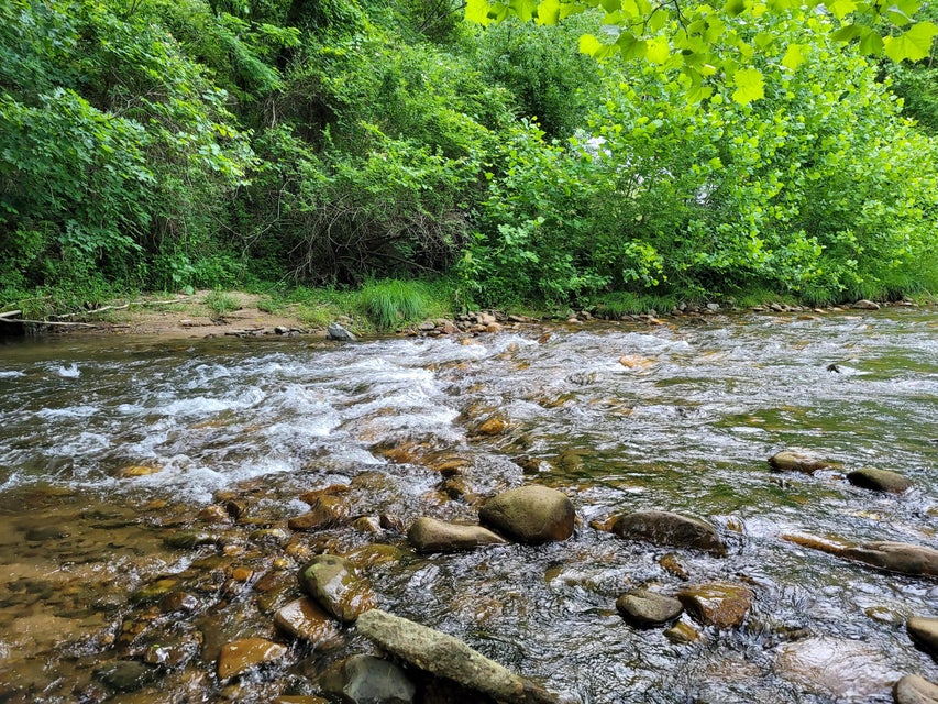 Photo #60: 301 Stampers Road