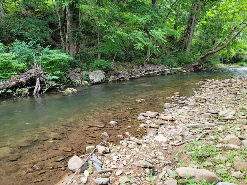 Photo #57: 301 Stampers Road