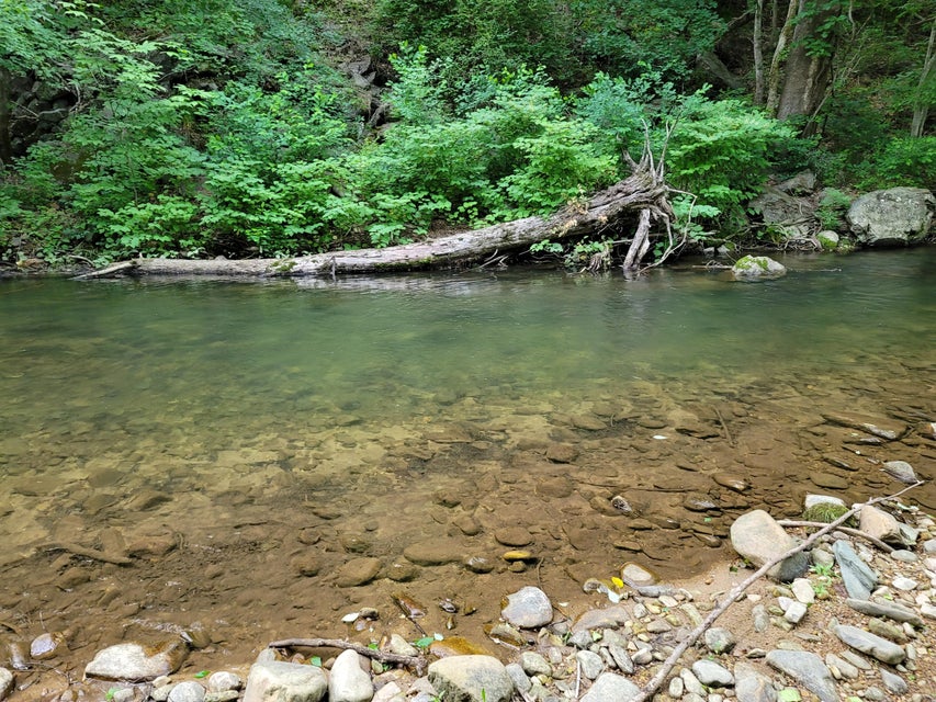 Photo #58: 301 Stampers Road