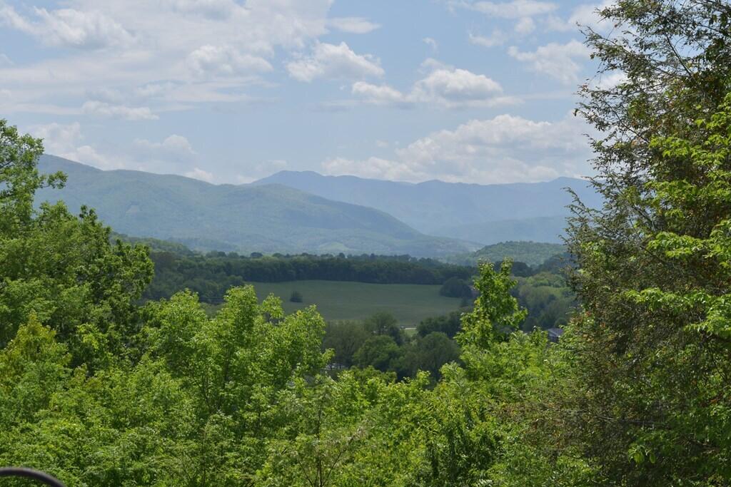 Photo #43: 575 Cliffwood Drive
