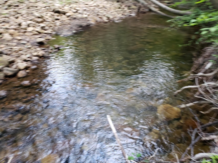 Photo #15: 21198 Brumley Gap Road