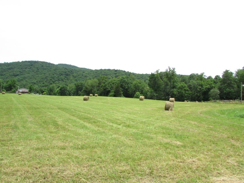 Photo #94: 191 Little Stoney Creek Road