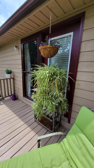 Photo #36: 207 Windridge Colony