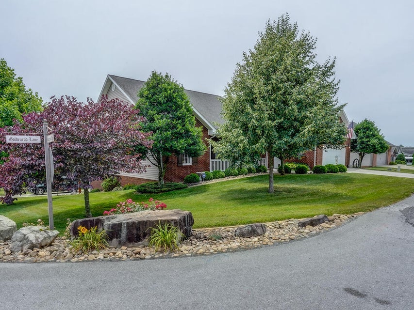 Photo #2: 392 Goldenrod Drive