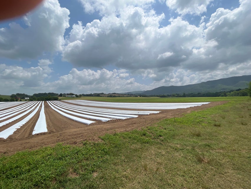 Photo #3: Tbd Ray Peterson Rd