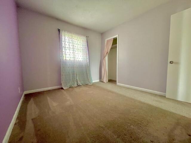 Photo #14: 417 Wilma Street