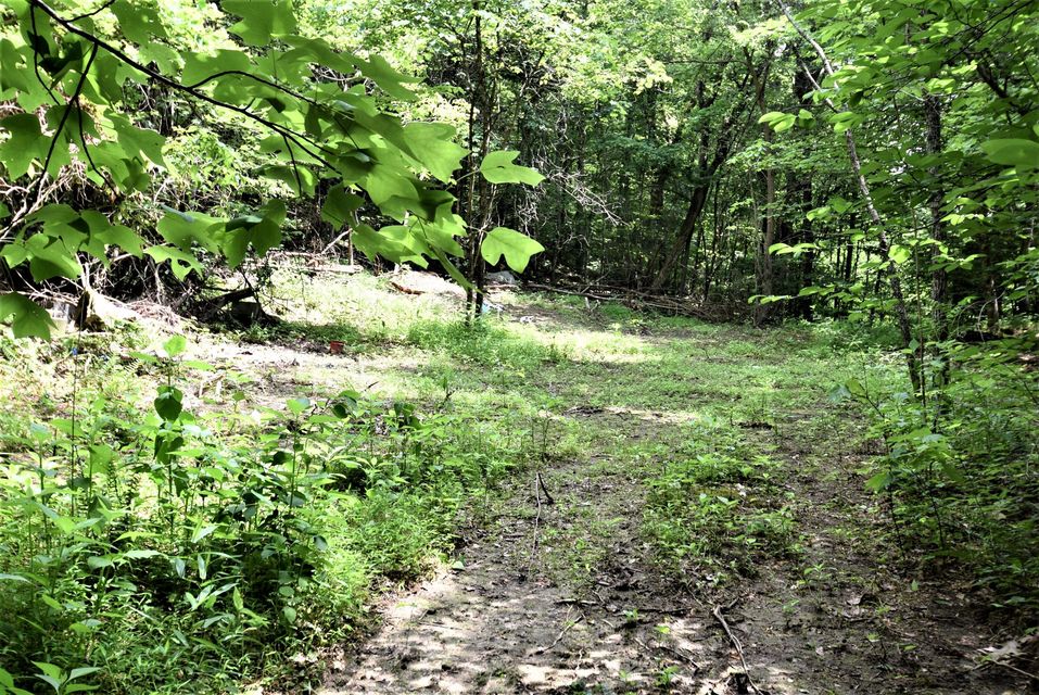 Photo #16: Lot 6 & 7 Grouse Run Road