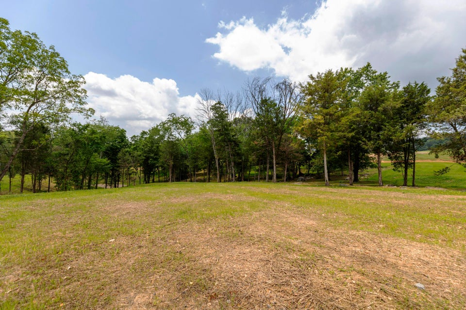 Photo #41: Lot 8 Turkey Ridge Lane