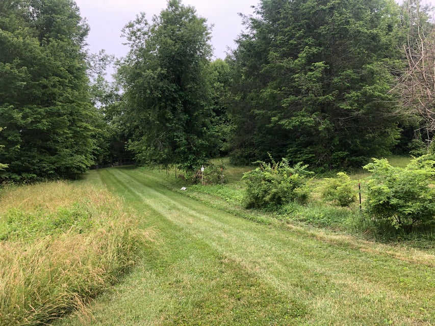 Photo #7: P. 057.01 Highway 143