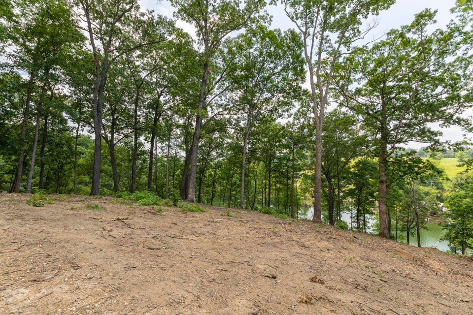 Photo #19: Lot 11 Turkey Ridge Lane