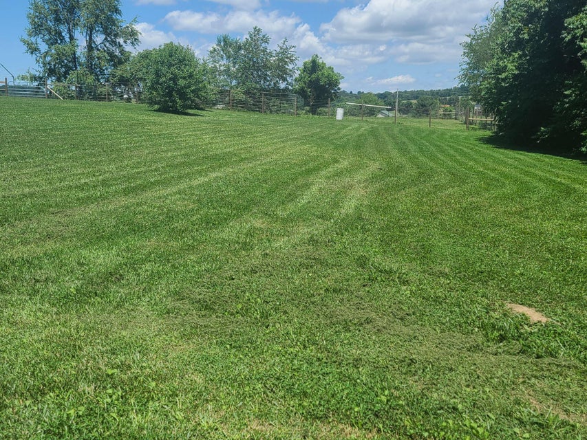 Photo #2: 1940 Nolichuckey Road
