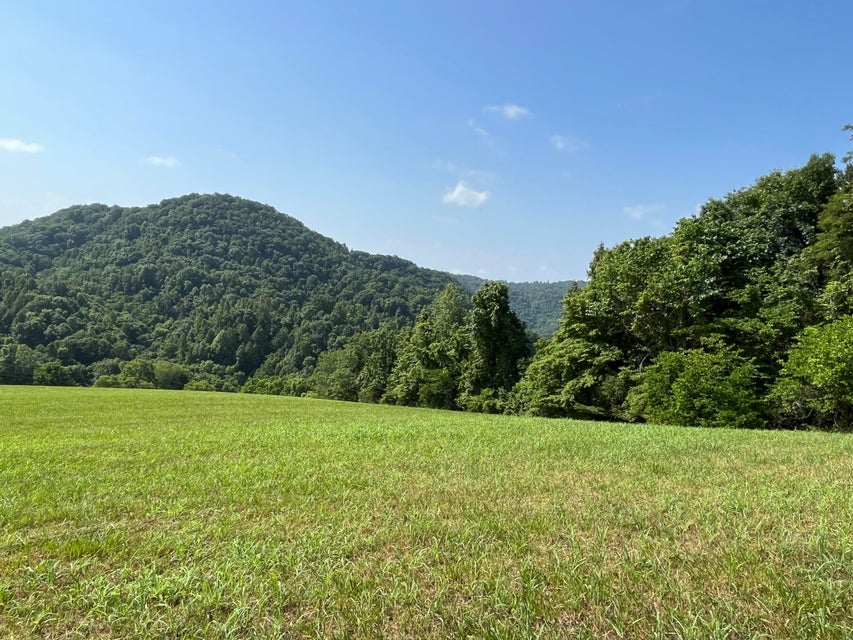 Photo #15: Tbd Goode Hollow Rd