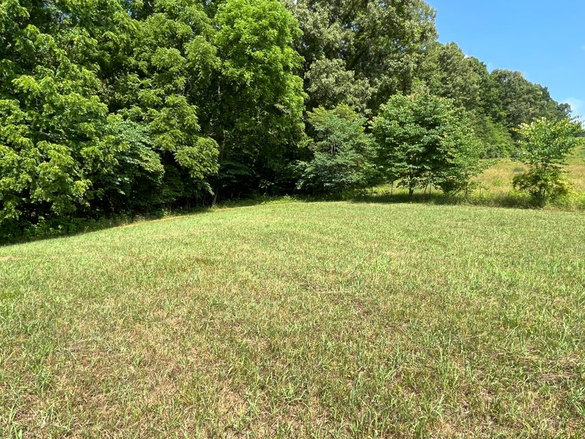 Photo #16: Tbd Goode Hollow Rd