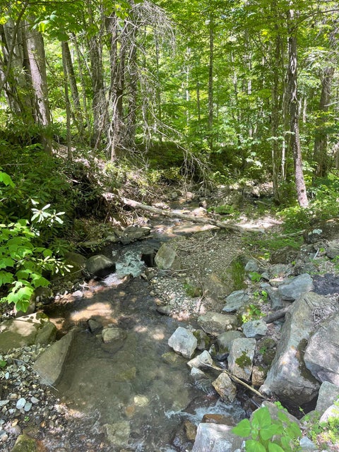 Photo #5: Tbd Roan Ladder Road
