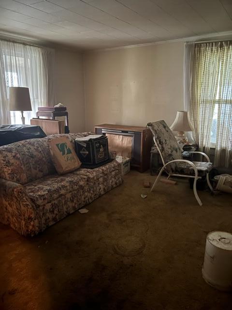 Photo #2: 322 Tucker Street