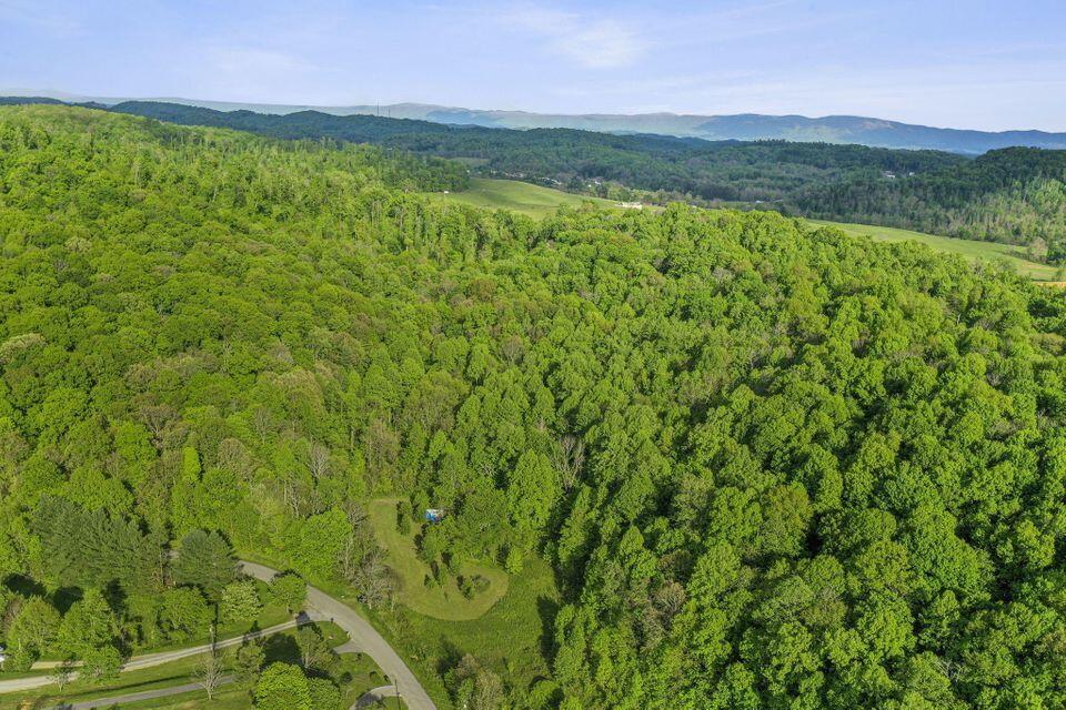 Photo #7: 494 Rodefer Hollow Road