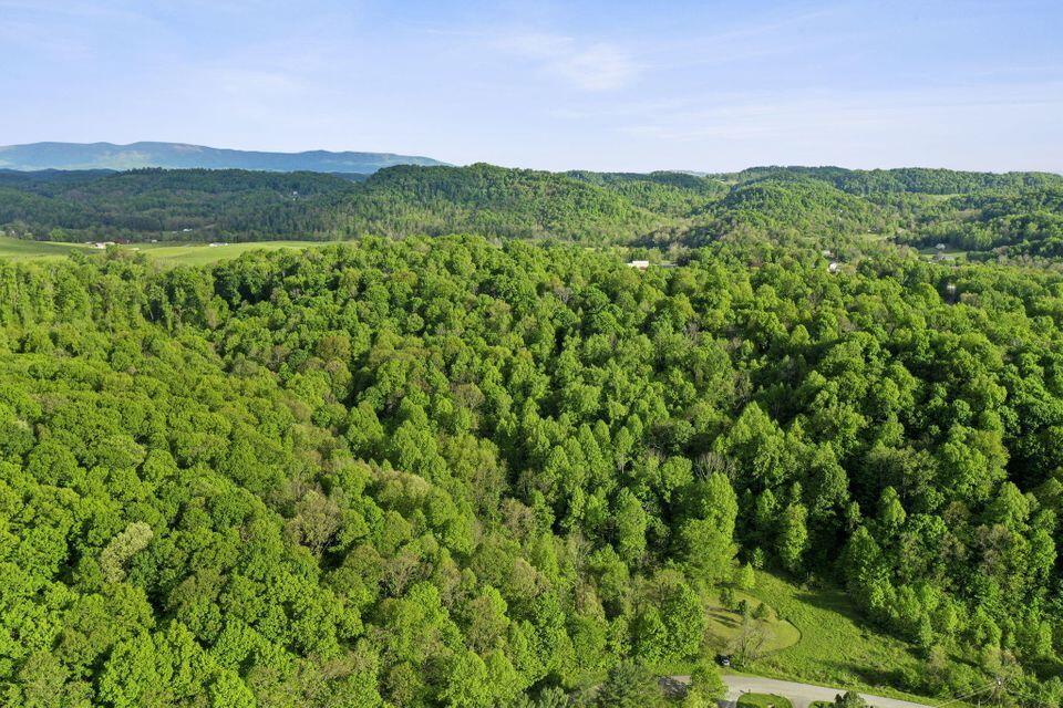 Photo #8: 494 Rodefer Hollow Road