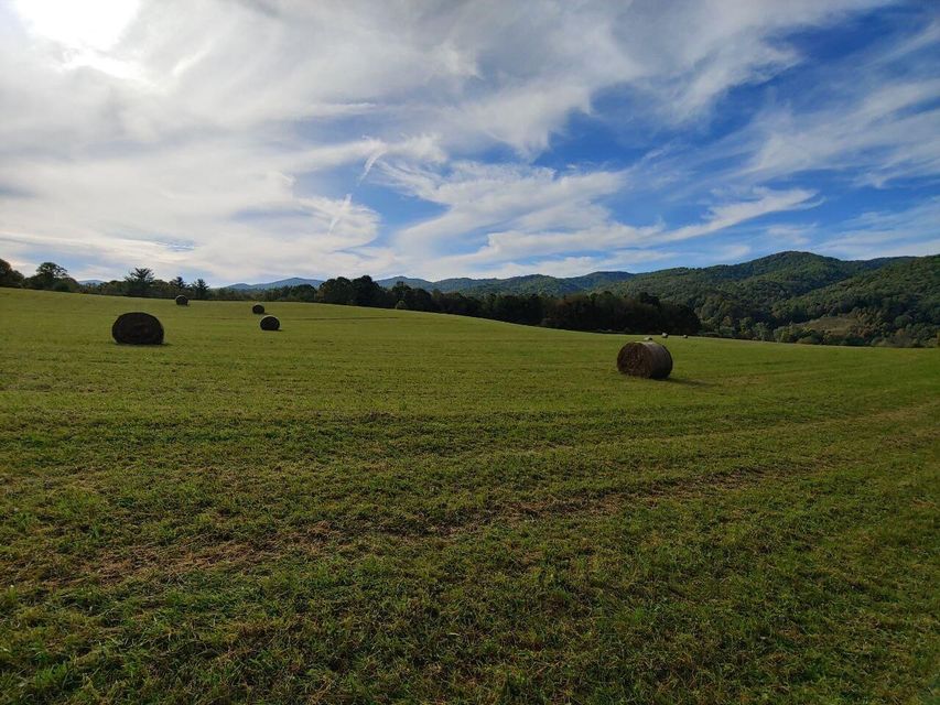 Photo #8: 300 Lady Lane