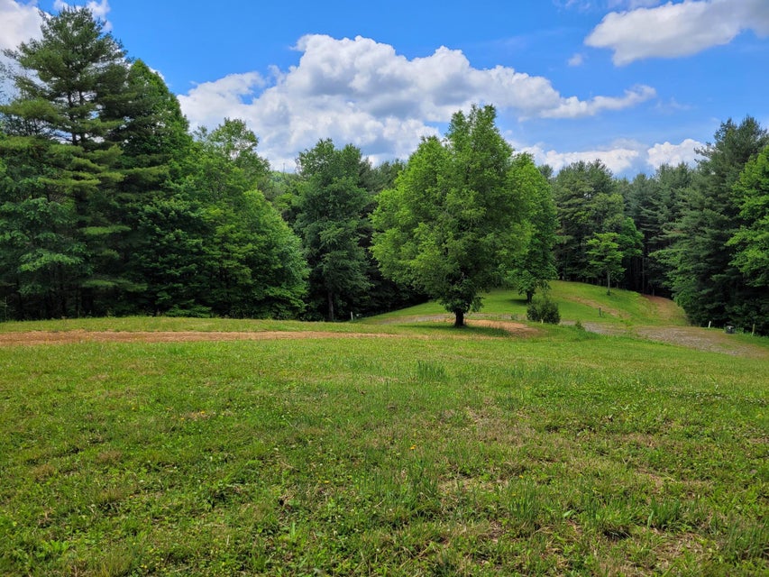Photo #5: 1303 Pinecrest Street