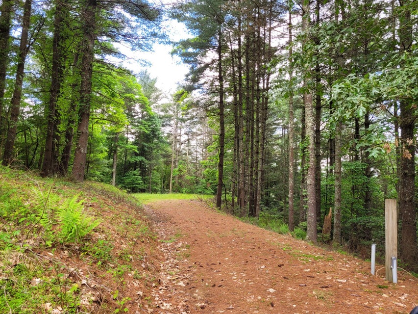 Photo #11: 1303 Pinecrest Street