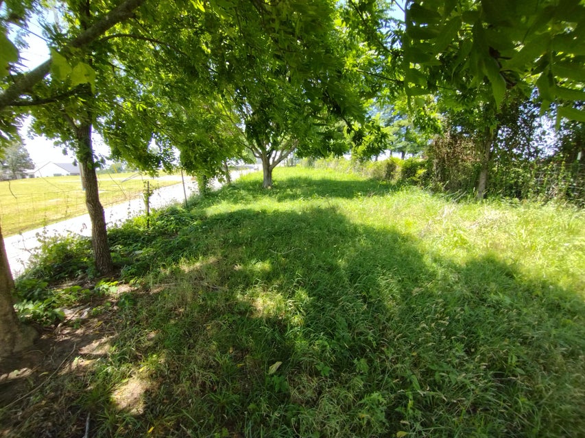 Photo #70: 1955 Seaton Road