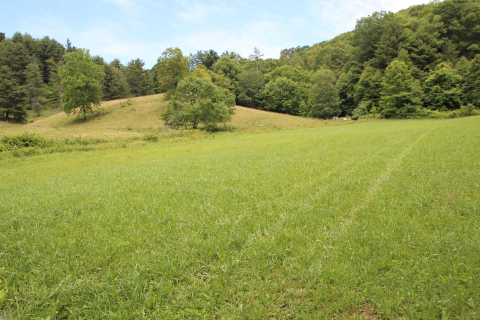 Photo #37: 1563 Stage Road