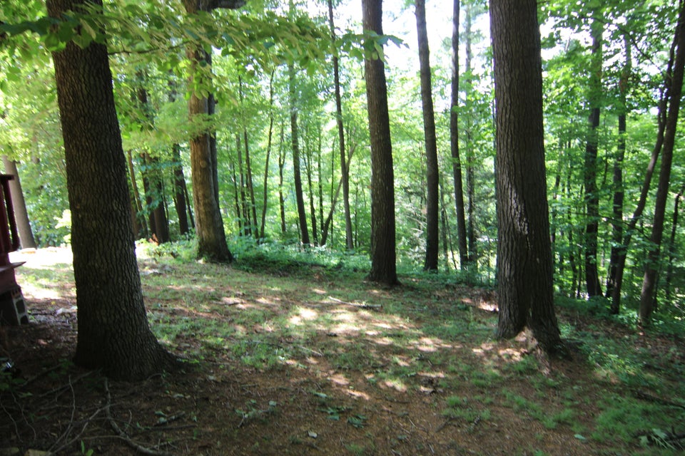 Photo #26: 173 Buckshot Lane
