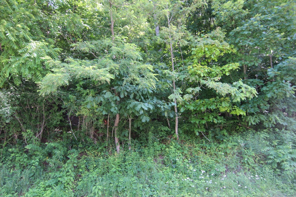 Photo #25: 173 Buckshot Lane