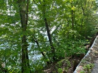 Photo #5: Lot 24 Furches Drive
