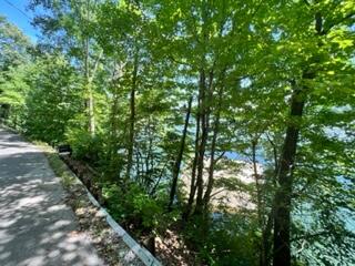 Photo #6: Lot 24 Furches Drive