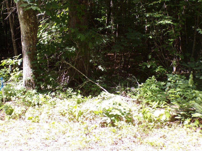 Photo #6: 00 Kay Brown Lane