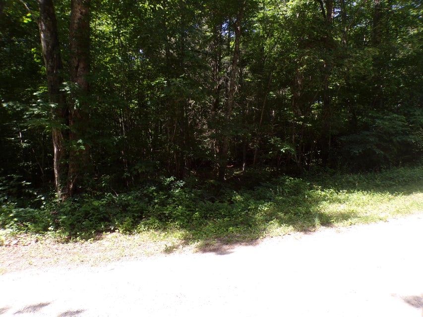 Photo #8: 00 Kay Brown Lane