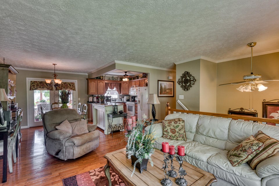 Photo #29: 145 Clearview Street