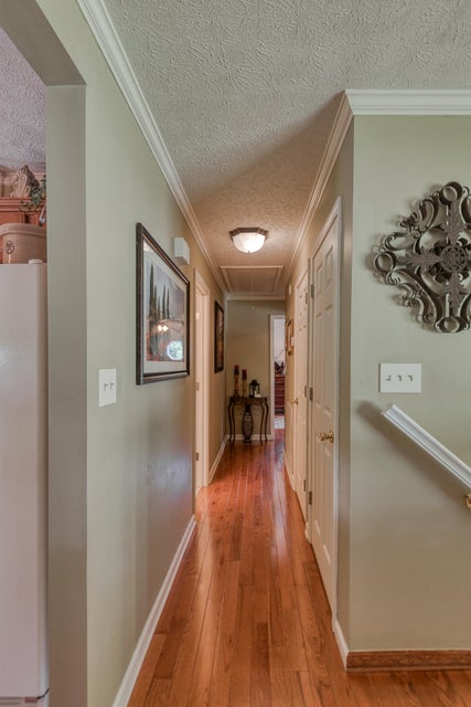 Photo #30: 145 Clearview Street