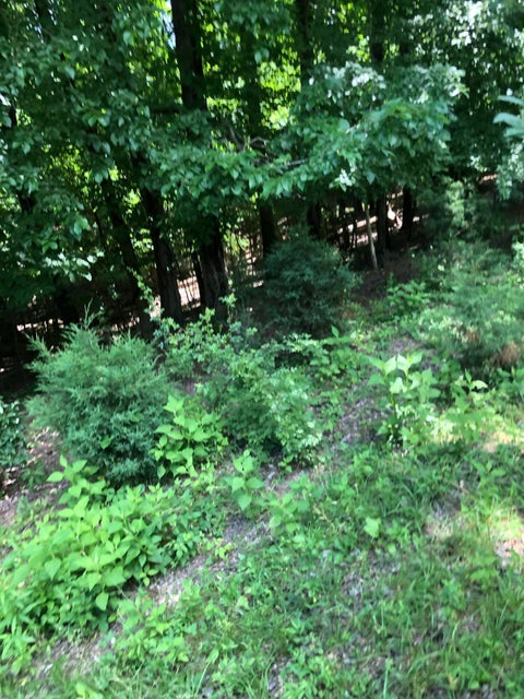 Photo #5: 292 Dennison Lane