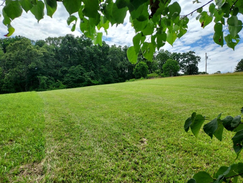 Photo #5: Tbd Tipton Avenue