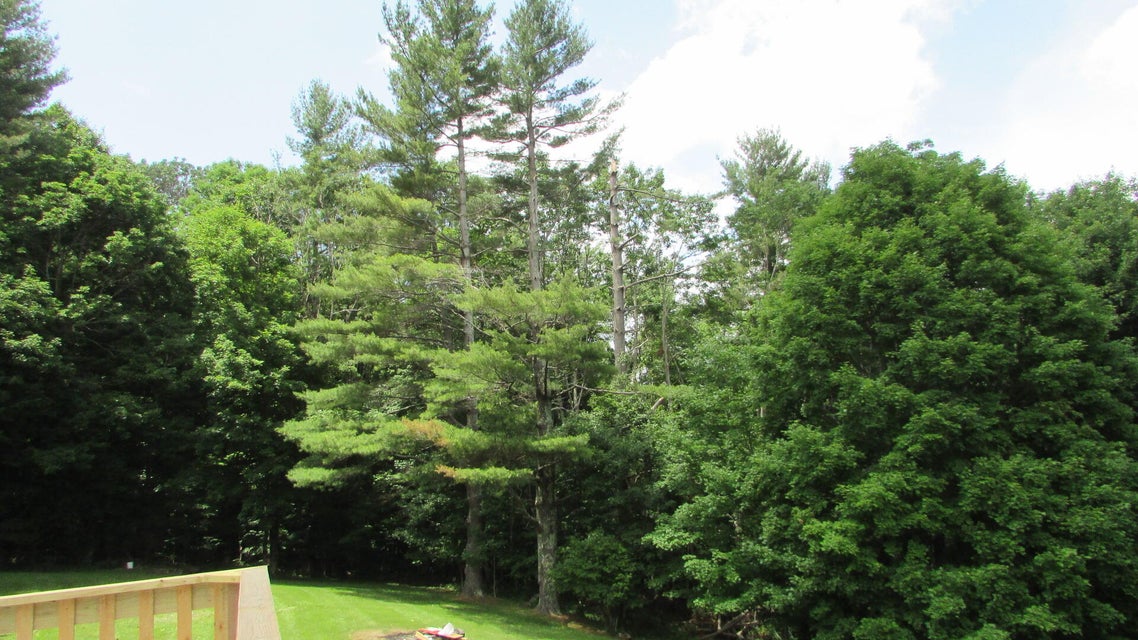 Photo #63: 166 Roanwood Road