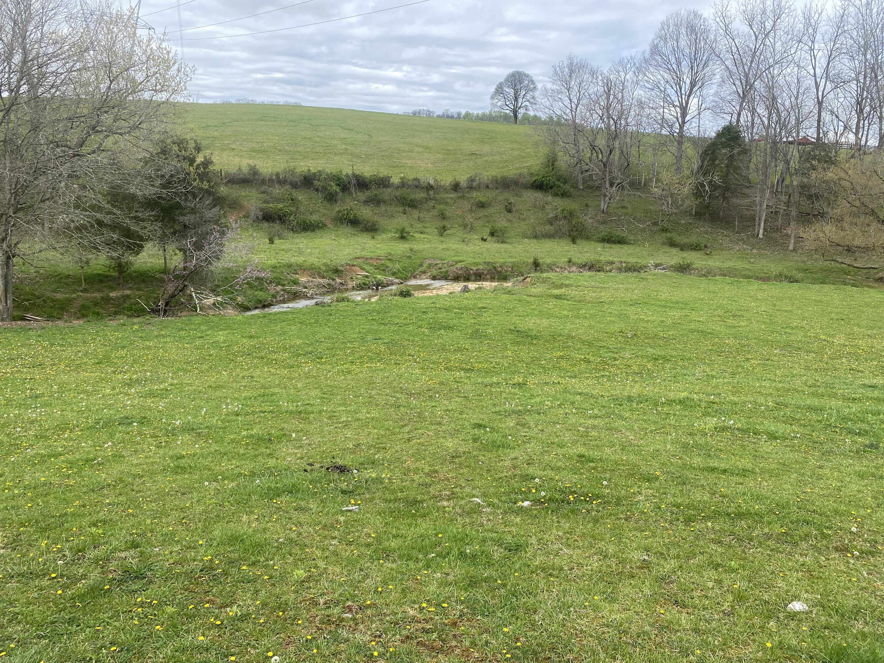Photo #2: Lot 2 Double Springs Road