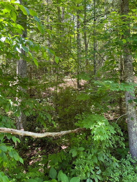Photo #5: Tbd Deer Run Road